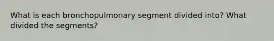 What is each bronchopulmonary segment divided into? What divided the segments?