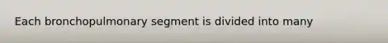 Each bronchopulmonary segment is divided into many