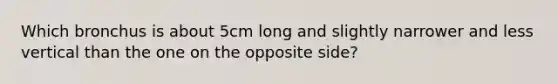 Which bronchus is about 5cm long and slightly narrower and less vertical than the one on the opposite side?