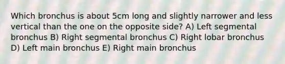 Which bronchus is about 5cm long and slightly narrower and less vertical than the one on the opposite side? A) Left segmental bronchus B) Right segmental bronchus C) Right lobar bronchus D) Left main bronchus E) Right main bronchus