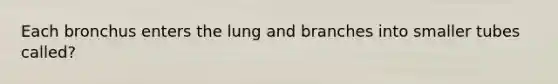 Each bronchus enters the lung and branches into smaller tubes called?