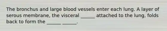 The bronchus and large blood vessels enter each lung. A layer of serous membrane, the visceral ______ attached to the lung, folds back to form the ______ ______.