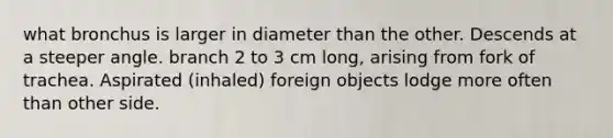 what bronchus is larger in diameter than the other. Descends at a steeper angle. branch 2 to 3 cm long, arising from fork of trachea. Aspirated (inhaled) foreign objects lodge more often than other side.