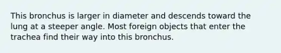 This bronchus is larger in diameter and descends toward the lung at a steeper angle. Most foreign objects that enter the trachea find their way into this bronchus.