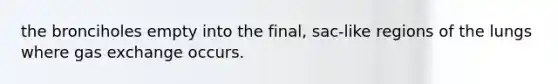 the bronciholes empty into the final, sac-like regions of the lungs where gas exchange occurs.