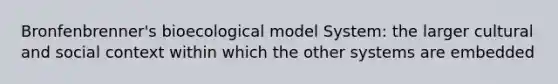 Bronfenbrenner's bioecological model System: the larger cultural and social context within which the other systems are embedded