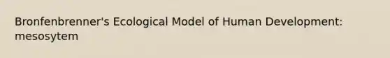 Bronfenbrenner's Ecological Model of Human Development: mesosytem