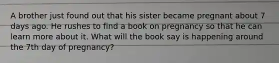 A brother just found out that his sister became pregnant about 7 days ago. He rushes to find a book on pregnancy so that he can learn more about it. What will the book say is happening around the 7th day of pregnancy?