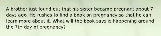 A brother just found out that his sister became pregnant about 7 days ago. He rushes to find a book on pregnancy so that he can learn more about it. What will the book says is happening around the 7th day of pregnancy?