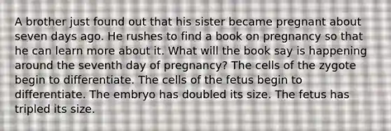 A brother just found out that his sister became pregnant about seven days ago. He rushes to find a book on pregnancy so that he can learn more about it. What will the book say is happening around the seventh day of pregnancy? The cells of the zygote begin to differentiate. The cells of the fetus begin to differentiate. The embryo has doubled its size. The fetus has tripled its size.