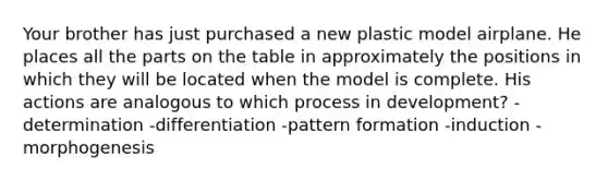 Your brother has just purchased a new plastic model airplane. He places all the parts on the table in approximately the positions in which they will be located when the model is complete. His actions are analogous to which process in development? -determination -differentiation -pattern formation -induction -morphogenesis