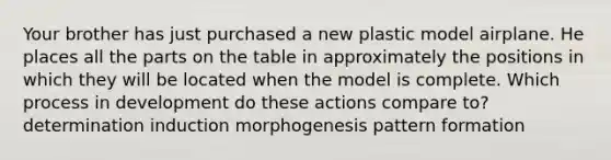 Your brother has just purchased a new plastic model airplane. He places all the parts on the table in approximately the positions in which they will be located when the model is complete. Which process in development do these actions compare to? determination induction morphogenesis pattern formation