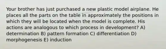 Your brother has just purchased a new plastic model airplane. He places all the parts on the table in approximately the positions in which they will be located when the model is complete. His actions are analogous to which process in development? A) determination B) pattern formation C) differentiation D) morphogenesis E) induction