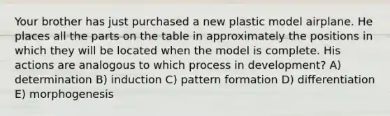 Your brother has just purchased a new plastic model airplane. He places all the parts on the table in approximately the positions in which they will be located when the model is complete. His actions are analogous to which process in development? A) determination B) induction C) pattern formation D) differentiation E) morphogenesis