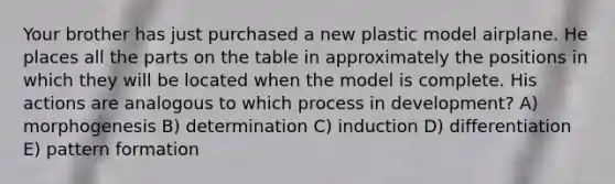 Your brother has just purchased a new plastic model airplane. He places all the parts on the table in approximately the positions in which they will be located when the model is complete. His actions are analogous to which process in development? A) morphogenesis B) determination C) induction D) differentiation E) pattern formation