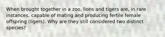 When brought together in a zoo, lions and tigers are, in rare instances, capable of mating and producing fertile female offspring (ligers). Why are they still considered two distinct species?