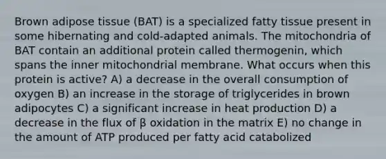 Brown adipose tissue (BAT) is a specialized fatty tissue present in some hibernating and cold-adapted animals. The mitochondria of BAT contain an additional protein called thermogenin, which spans the inner mitochondrial membrane. What occurs when this protein is active? A) a decrease in the overall consumption of oxygen B) an increase in the storage of triglycerides in brown adipocytes C) a significant increase in heat production D) a decrease in the flux of β oxidation in the matrix E) no change in the amount of ATP produced per fatty acid catabolized