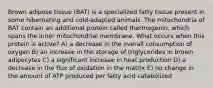 Brown adipose tissue (BAT) is a specialized fatty tissue present in some hibernating and cold-adapted animals. The mitochondria of BAT contain an additional protein called thermogenin, which spans the inner mitochondrial membrane. What occurs when this protein is active? A) a decrease in the overall consumption of oxygen B) an increase in the storage of triglycerides in brown adipocytes C) a significant increase in heat production D) a decrease in the flux of oxidation in the matrix E) no change in the amount of ATP produced per fatty acid catabolized