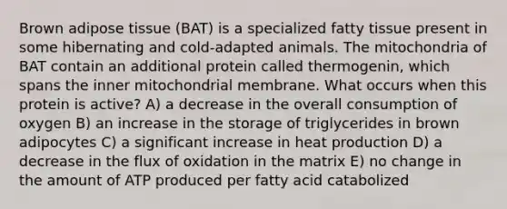 Brown adipose tissue (BAT) is a specialized fatty tissue present in some hibernating and cold-adapted animals. The mitochondria of BAT contain an additional protein called thermogenin, which spans the inner mitochondrial membrane. What occurs when this protein is active? A) a decrease in the overall consumption of oxygen B) an increase in the storage of triglycerides in brown adipocytes C) a significant increase in heat production D) a decrease in the flux of oxidation in the matrix E) no change in the amount of ATP produced per fatty acid catabolized