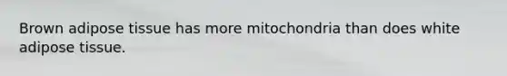 Brown adipose tissue has more mitochondria than does white adipose tissue.