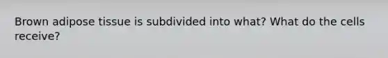 Brown adipose tissue is subdivided into what? What do the cells receive?