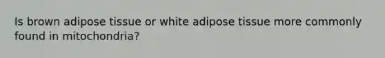 Is brown adipose tissue or white adipose tissue more commonly found in mitochondria?