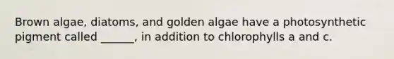 Brown algae, diatoms, and golden algae have a photosynthetic pigment called ______, in addition to chlorophylls a and c.