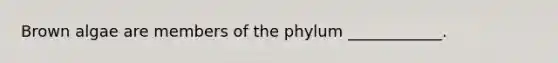 Brown algae are members of the phylum ____________.