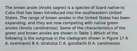 The brown anole (Anolis sagrei) is a species of lizard native to Cuba that has been introduced into the southeastern United States. The range of brown anoles in the United States has been expanding, and they are now competing with native green anoles (Anolis carolinensis). Some of the characteristics of the green and brown anoles are shown in Table 1.Which of the following is the outgroup in the cladogram shown in Figure 1? A A. evermanni B A. stratulus C A. gundlachi D A. carolinensis