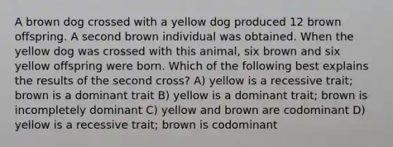 A brown dog crossed with a yellow dog produced 12 brown offspring. A second brown individual was obtained. When the yellow dog was crossed with this animal, six brown and six yellow offspring were born. Which of the following best explains the results of the second cross? A) yellow is a recessive trait; brown is a dominant trait B) yellow is a dominant trait; brown is incompletely dominant C) yellow and brown are codominant D) yellow is a recessive trait; brown is codominant