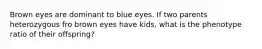 Brown eyes are dominant to blue eyes. If two parents heterozygous fro brown eyes have kids, what is the phenotype ratio of their offspring?