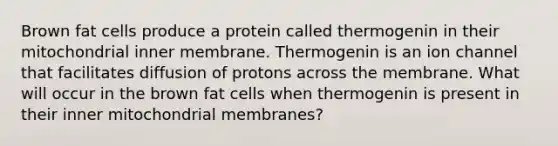 Brown fat cells produce a protein called thermogenin in their mitochondrial inner membrane. Thermogenin is an ion channel that facilitates diffusion of protons across the membrane. What will occur in the brown fat cells when thermogenin is present in their inner mitochondrial membranes?