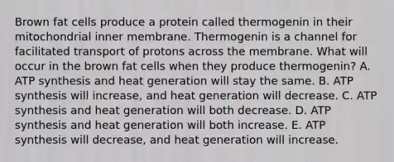 Brown fat cells produce a protein called thermogenin in their mitochondrial inner membrane. Thermogenin is a channel for facilitated transport of protons across the membrane. What will occur in the brown fat cells when they produce thermogenin? A. ATP synthesis and heat generation will stay the same. B. ATP synthesis will increase, and heat generation will decrease. C. ATP synthesis and heat generation will both decrease. D. ATP synthesis and heat generation will both increase. E. ATP synthesis will decrease, and heat generation will increase.