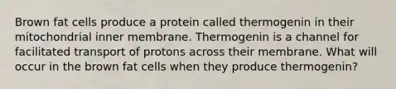 Brown fat cells produce a protein called thermogenin in their mitochondrial inner membrane. Thermogenin is a channel for facilitated transport of protons across their membrane. What will occur in the brown fat cells when they produce thermogenin?