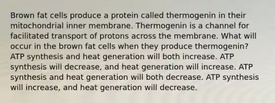 Brown fat cells produce a protein called thermogenin in their mitochondrial inner membrane. Thermogenin is a channel for facilitated transport of protons across the membrane. What will occur in the brown fat cells when they produce thermogenin? ATP synthesis and heat generation will both increase. ATP synthesis will decrease, and heat generation will increase. ATP synthesis and heat generation will both decrease. ATP synthesis will increase, and heat generation will decrease.