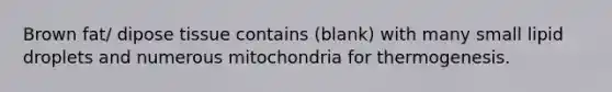 Brown fat/ dipose tissue contains (blank) with many small lipid droplets and numerous mitochondria for thermogenesis.