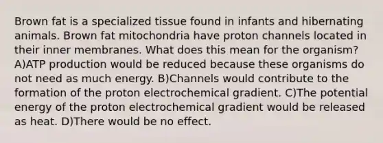 Brown fat is a specialized tissue found in infants and hibernating animals. Brown fat mitochondria have proton channels located in their inner membranes. What does this mean for the organism? A)ATP production would be reduced because these organisms do not need as much energy. B)Channels would contribute to the formation of the proton electrochemical gradient. C)The potential energy of the proton electrochemical gradient would be released as heat. D)There would be no effect.