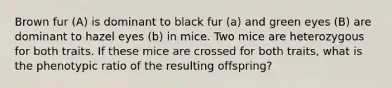 Brown fur (A) is dominant to black fur (a) and green eyes (B) are dominant to hazel eyes (b) in mice. Two mice are heterozygous for both traits. If these mice are crossed for both traits, what is the phenotypic ratio of the resulting offspring?