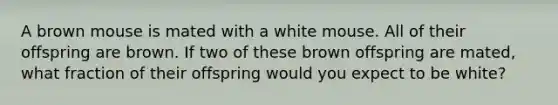 A brown mouse is mated with a white mouse. All of their offspring are brown. If two of these brown offspring are mated, what fraction of their offspring would you expect to be white?