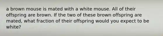 a brown mouse is mated with a white mouse. All of their offspring are brown. If the two of these brown offspring are mated, what fraction of their offspring would you expect to be white?