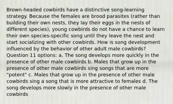 Brown-headed cowbirds have a distinctive song-learning strategy. Because the females are brood parasites (rather than building their own nests, they lay their eggs in the nests of different species), young cowbirds do not have a chance to learn their own species-specific song until they leave the nest and start socializing with other cowbirds. How is song development influenced by the behavior of other adult male cowbirds? Question 11 options: a. The song develops more quickly in the presence of other male cowbirds b. Males that grow up in the presence of other male cowbirds sing songs that are more "potent" c. Males that grow up in the presence of other male cowbirds sing a song that is more attractive to females d. The song develops more slowly in the presence of other male cowbirds