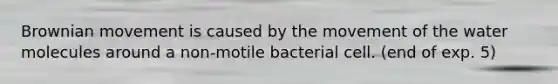 Brownian movement is caused by the movement of the water molecules around a non-motile bacterial cell. (end of exp. 5)