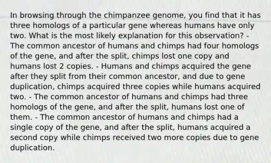 In browsing through the chimpanzee genome, you find that it has three homologs of a particular gene whereas humans have only two. What is the most likely explanation for this observation? - The common ancestor of humans and chimps had four homologs of the gene, and after the split, chimps lost one copy and humans lost 2 copies. - Humans and chimps acquired the gene after they split from their common ancestor, and due to gene duplication, chimps acquired three copies while humans acquired two. - The common ancestor of humans and chimps had three homologs of the gene, and after the split, humans lost one of them. - The common ancestor of humans and chimps had a single copy of the gene, and after the split, humans acquired a second copy while chimps received two more copies due to gene duplication.