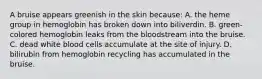 A bruise appears greenish in the skin because: A. the heme group in hemoglobin has broken down into biliverdin. B. green-colored hemoglobin leaks from the bloodstream into the bruise. C. dead white blood cells accumulate at the site of injury. D. bilirubin from hemoglobin recycling has accumulated in the bruise.