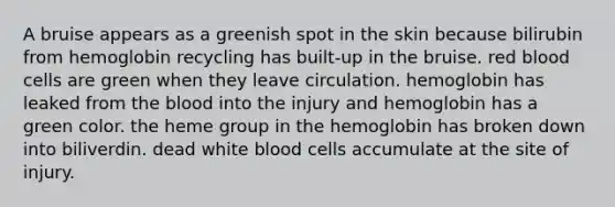 A bruise appears as a greenish spot in the skin because bilirubin from hemoglobin recycling has built-up in the bruise. red blood cells are green when they leave circulation. hemoglobin has leaked from the blood into the injury and hemoglobin has a green color. the heme group in the hemoglobin has broken down into biliverdin. dead white blood cells accumulate at the site of injury.