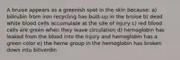 A bruise appears as a greenish spot in the skin because: a) bilirubin from iron recycling has built-up in the bruise b) dead white blood cells accumulate at the site of injury c) red blood cells are green when they leave circulation d) hemoglobin has leaked from the blood into the injury and hemoglobin has a green color e) the heme group in the hemoglobin has broken down into biliverdin