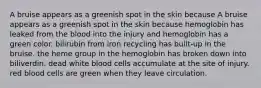 A bruise appears as a greenish spot in the skin because A bruise appears as a greenish spot in the skin because hemoglobin has leaked from the blood into the injury and hemoglobin has a green color. bilirubin from iron recycling has built-up in the bruise. the heme group in the hemoglobin has broken down into biliverdin. dead white blood cells accumulate at the site of injury. red blood cells are green when they leave circulation.