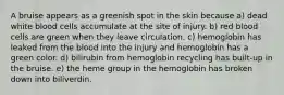 A bruise appears as a greenish spot in the skin because a) dead white blood cells accumulate at the site of injury. b) red blood cells are green when they leave circulation. c) hemoglobin has leaked from the blood into the injury and hemoglobin has a green color. d) bilirubin from hemoglobin recycling has built-up in the bruise. e) the heme group in the hemoglobin has broken down into biliverdin.