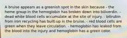 A bruise appears as a greenish spot in the skin because - the heme group in the hemoglobin has broken down into biliverdin. - dead white blood cells accumulate at the site of injury. - bilirubin from iron recycling has built-up in the bruise. - red blood cells are green when they leave circulation. - hemoglobin has leaked from the blood into the injury and hemoglobin has a green color.