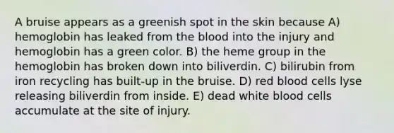 A bruise appears as a greenish spot in the skin because A) hemoglobin has leaked from the blood into the injury and hemoglobin has a green color. B) the heme group in the hemoglobin has broken down into biliverdin. C) bilirubin from iron recycling has built-up in the bruise. D) red blood cells lyse releasing biliverdin from inside. E) dead white blood cells accumulate at the site of injury.